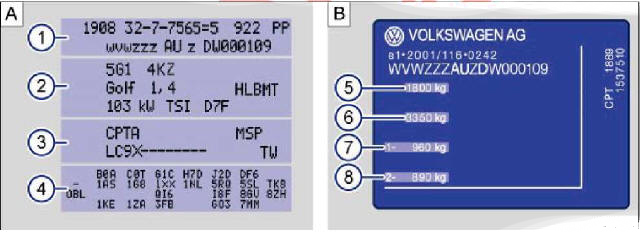 Şek. 19 A: Araç bilgi etiketi: Çizimde, CCZB (3) motor kodlu araç etiketi örnek olarak verilmiştir. B: Tip plakası.