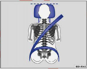 Şek. 42 Doğru konumlandırılmış emniyet kemeri ve doğru ayarlanmış kafalık