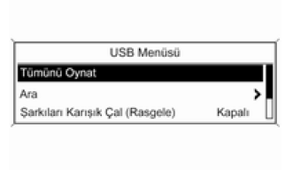 USB girişi